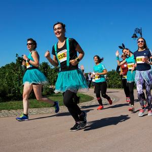Šampionski start drugog Vinskog maratona na Paliću, 22. septembra
