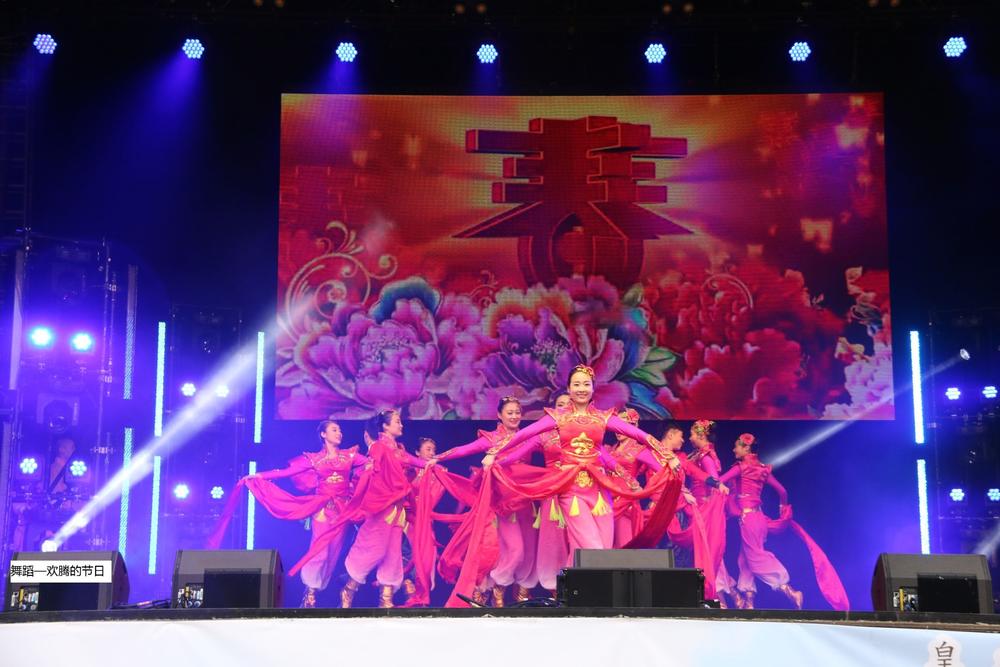 'Umetnički ansambl pesama i igara provincije Henan