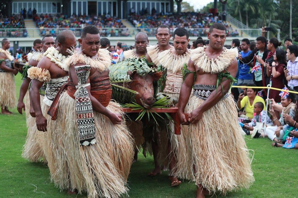 Po tradiciji se u republici Fidži žrtvuje divlje prase