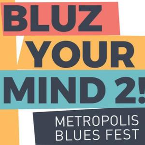 Novembar uz zvuk dobre gitare: Počinje "Metropolis Blues Fest 2"