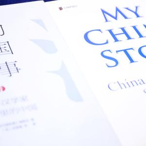 Velika ljubav prema kulturi ove zemlje: Vladislav Bajac u dve knjige o Kini