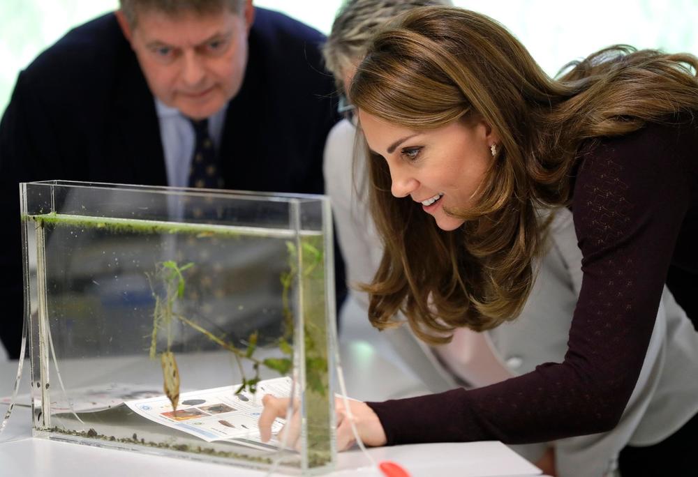 <p>Ukoliko tragate za savršenom bojom kose za jesenju sezonu, ne čekajte više ni trenutak &mdash; vojvotkinja od Kembridža već ju je pronašla.</p>