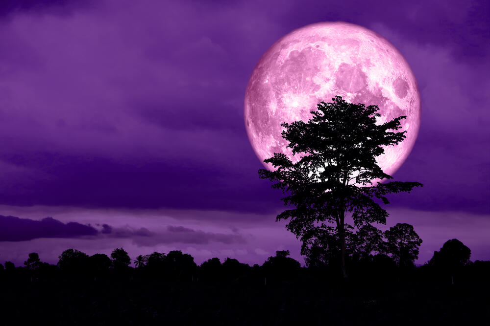 ružičasti pun mesec, supermesec, pun mesec, Mesec
