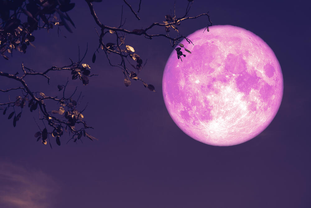 ružičasti pun mesec, ružičasti mesec, pun mesec, Mesec