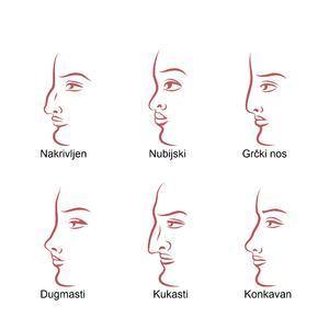 Nakrivljen, grčki ili kukasti: Saznajte šta oblik nosa govori o vama
