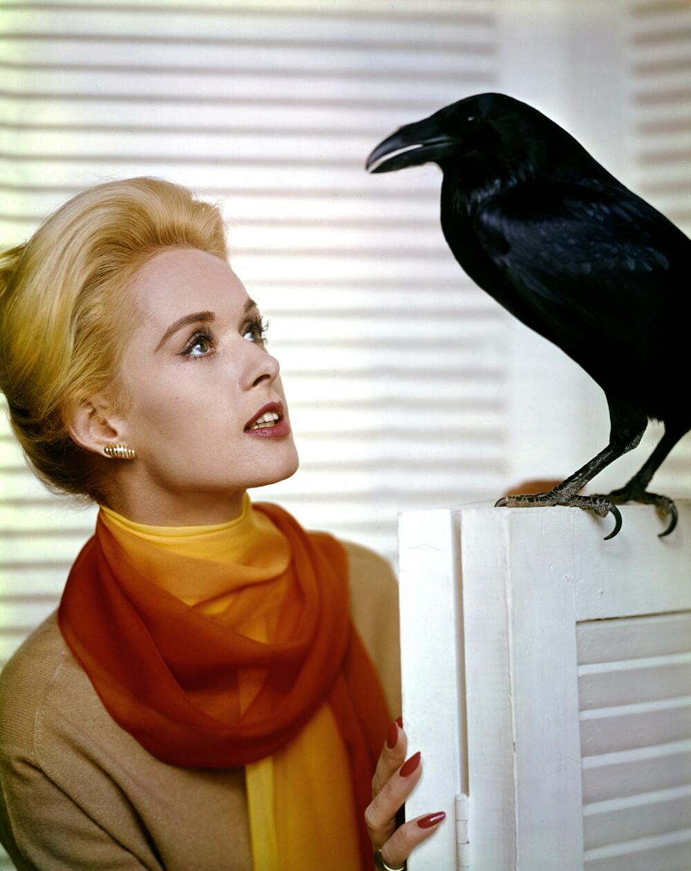 Tipi Hedren u filmu 'Ptice' (1963)