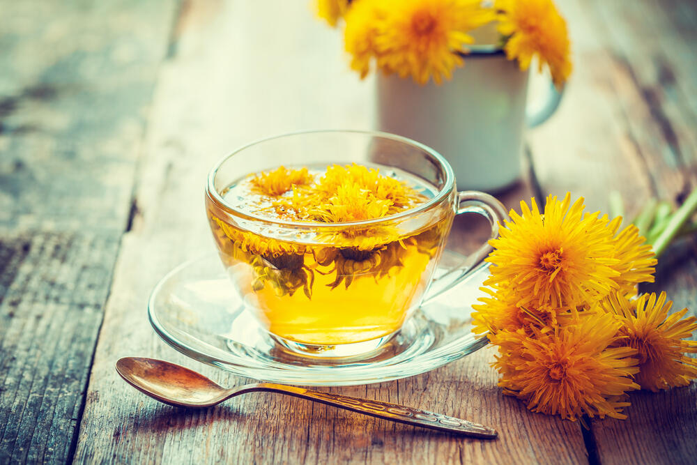 Čaj od maslačka koristi se narodnoj medicini širom sveta