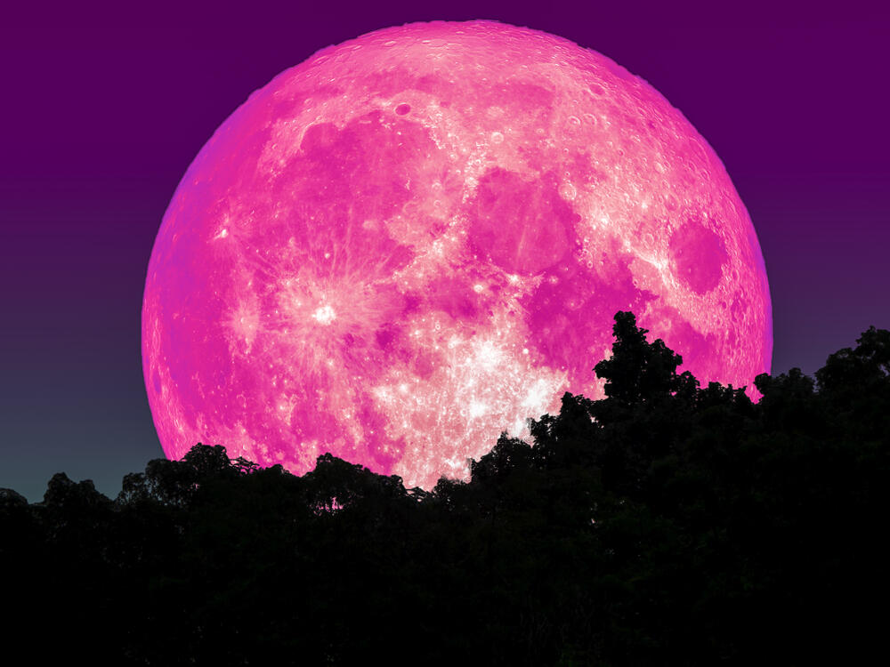 Roze pun Mesec, Pun Mesec, Pink pun Mesec, Mesec, Mesečina