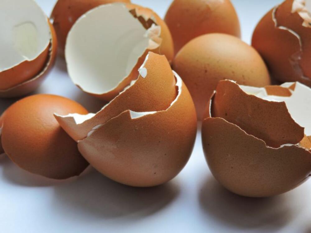 Ljuske od jaja često se koriste u nezi biljaka