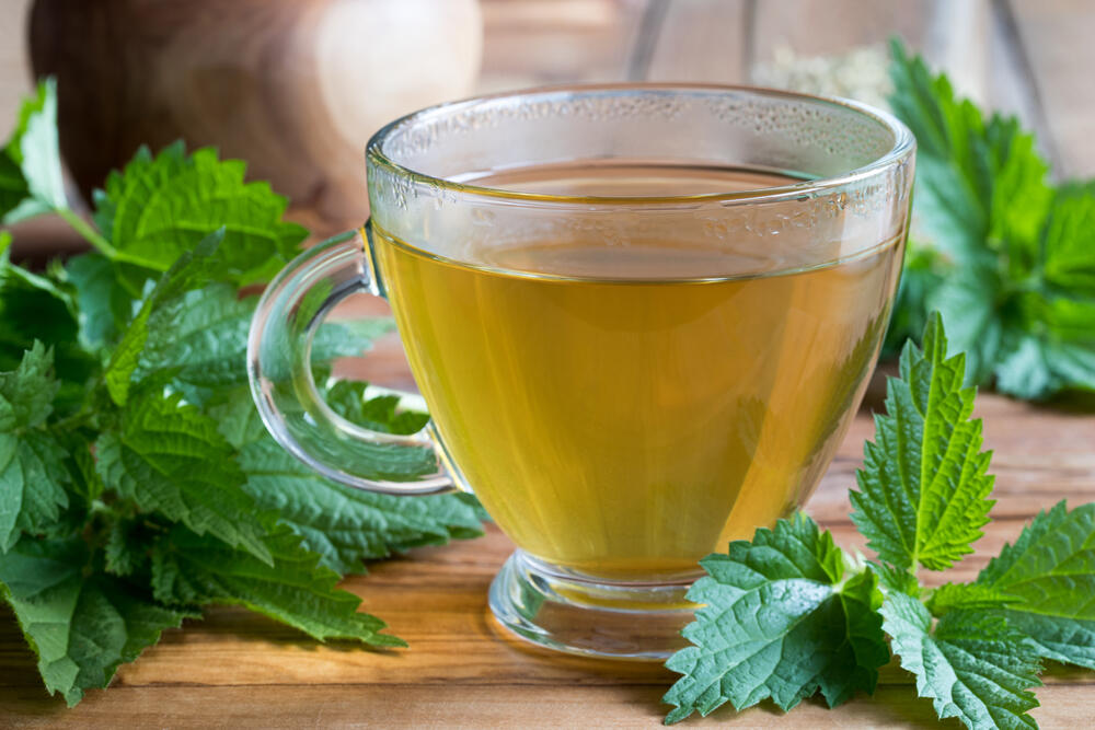 Čaj od koprive ima dokazana blagotvorna svojstva o zdravlje