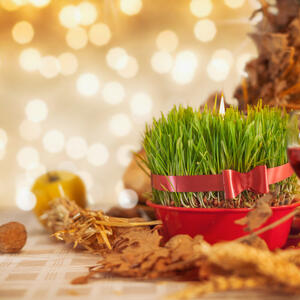 Kako i kada se sadi Božićna pšenica? Ako je posadite na ova DVA DATUMA i uradite ovih 5 stvari biće gusta i bogata