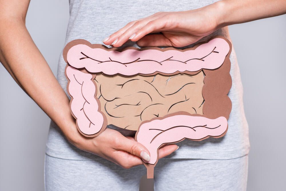 Tanko i debelo crevo u ljudskom organizmu