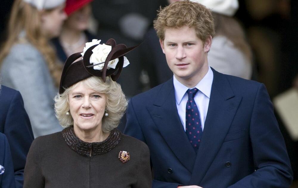 Svi se pitaju kakav odnos kraljica Kamila ima sa Čarlsovim sinovima Vilijamom i Harijem
