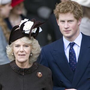 Zbog čega je kraljica supruga "OPASNA" ŽENA? Princ Hari izneo tvrdnje o Kamili zbog kojih će Čarls ključati od besa