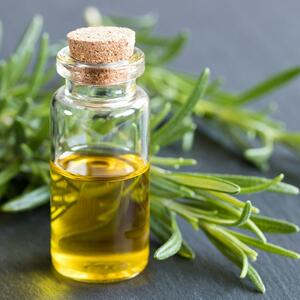 Kako se koristi najmoćniji dar prirode protiv demencije i Alhajmera? Stari Grci su ga zvali 'biljka pamćenja'