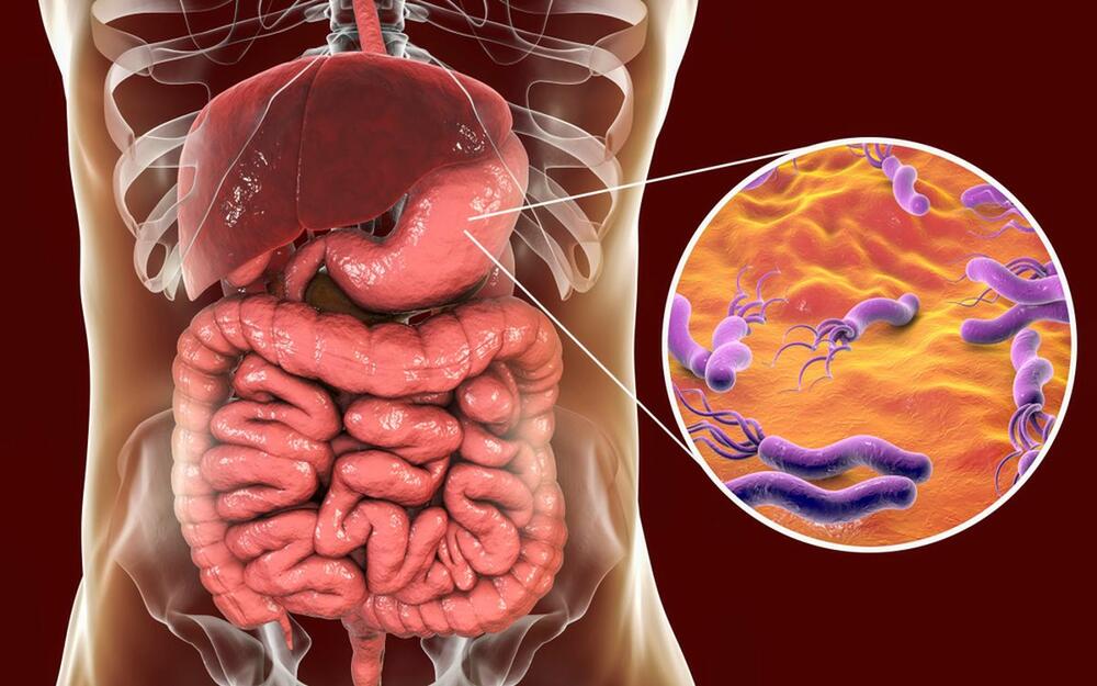 Helikobakterija (Helicobacter pylori) napada digestivni sistem