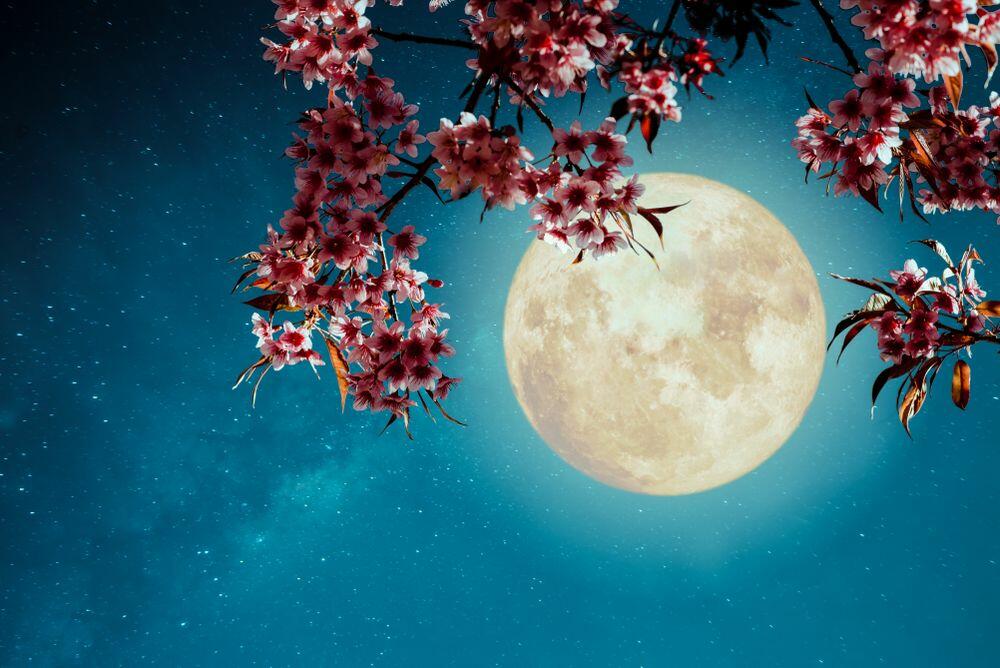 Pun mesec u Devici je idealno vreme da napravite promene u ljubavnom životu