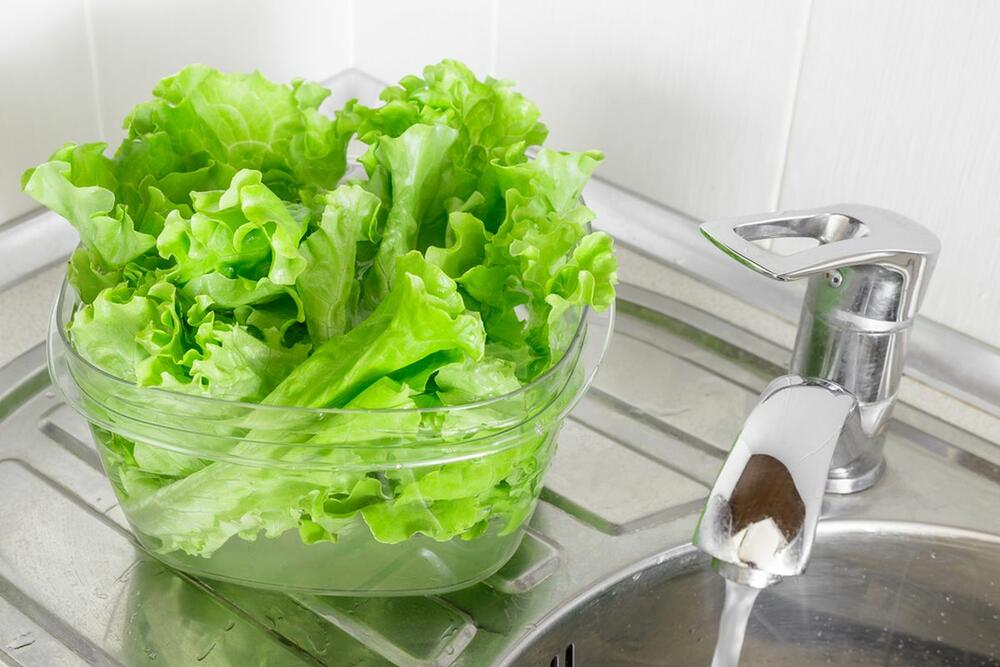 Zelena salata potopljena da odstoji u vodi