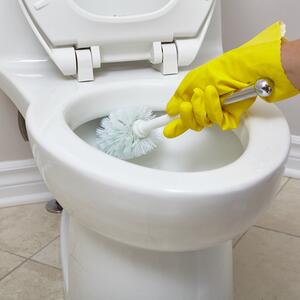To što izgleda čisto je samo varka: Znate li koliko često bi trebalo da menjate ili barem očistite četku za WC šolju?