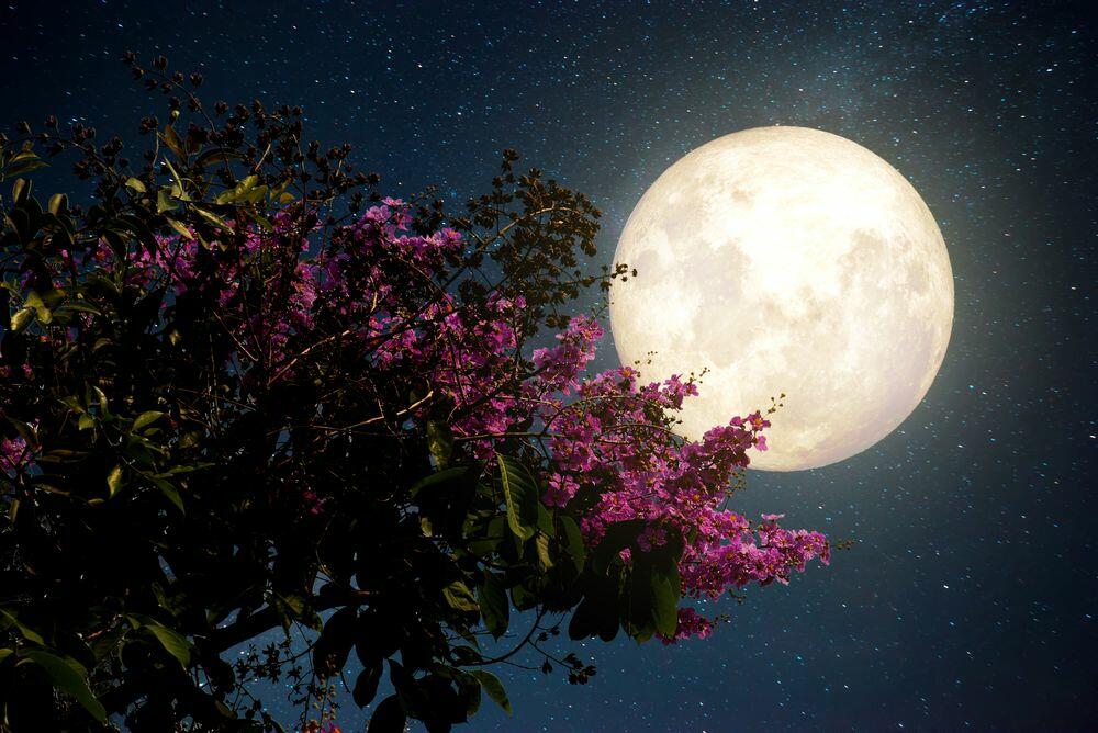 Pun mesec u Ovnu svima donosi uzbudljiv period.