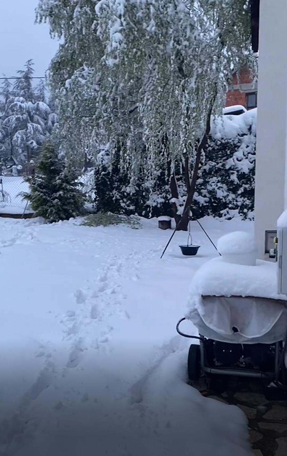 <p>Ljubavno gnezdo pod aprilskim snegom naše čuvene kreatorke i njenog izabranika Veljka Kuzmančevića lepo je ušuškano na planini u okolini Beograda i udaljeno od gradske buke.</p>

<p> </p>