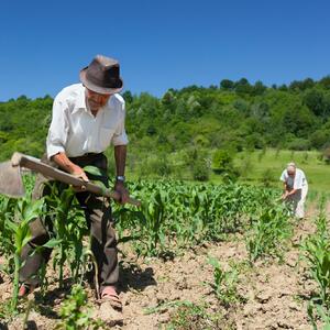 Zaštita od zagađenja i štetnih materija: Pogledajte šta je najpotrebnije zemljoradnicima!