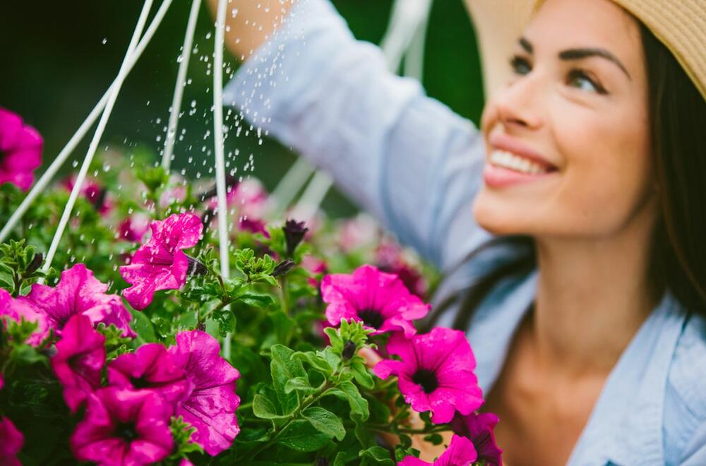 Zalivanje cveća nije sav posao ako želite bujno cveće na balkonu