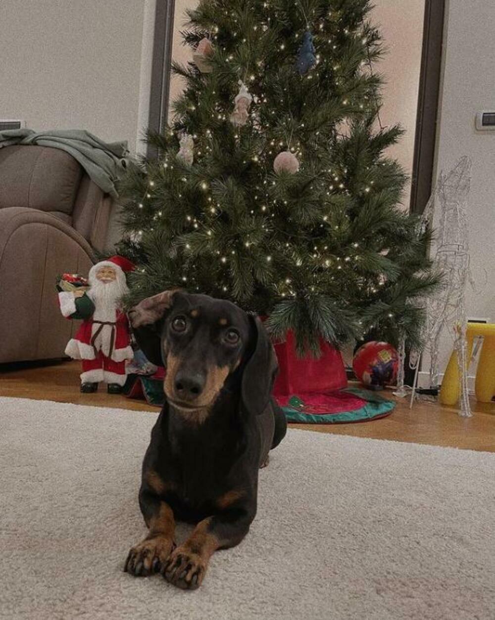 <p>Glumica se&nbsp;nakon brojnih obaveza rado vraća u svoje malo porodično gnezdo, gde uživa u svakom trenutku provedenom sa decom i suprugom kada nije van zemlje&nbsp;</p>