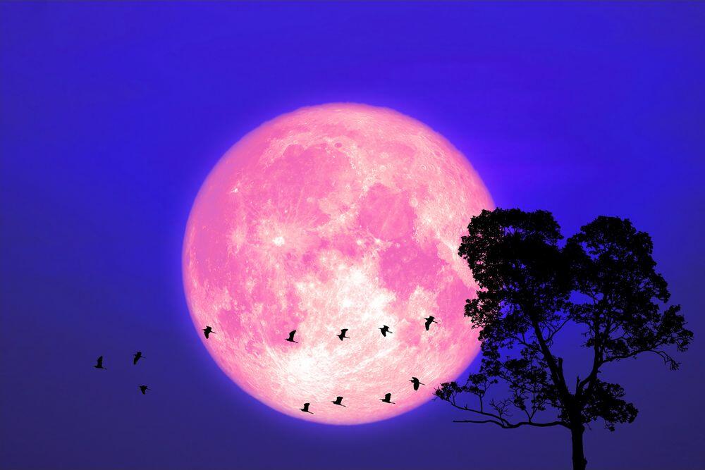 Pun mesec u Strelcu, koji se naziva i mesec jagoda, donosi sreću i prosperitet.
