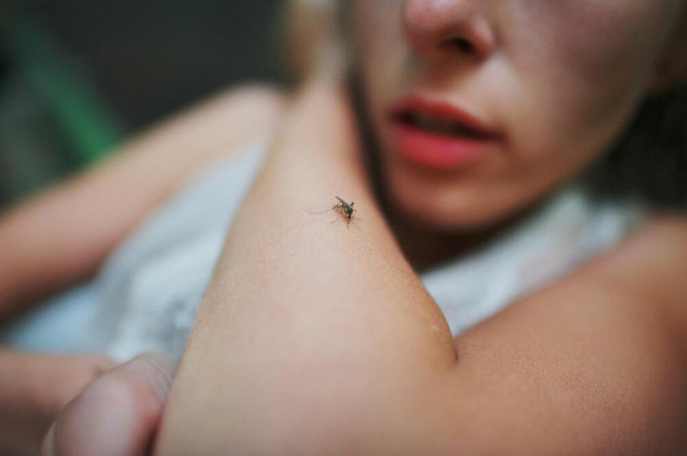 ujed komarca i ostalih insekata uglavnom je bezazlen, ali je važno pratiti stanje