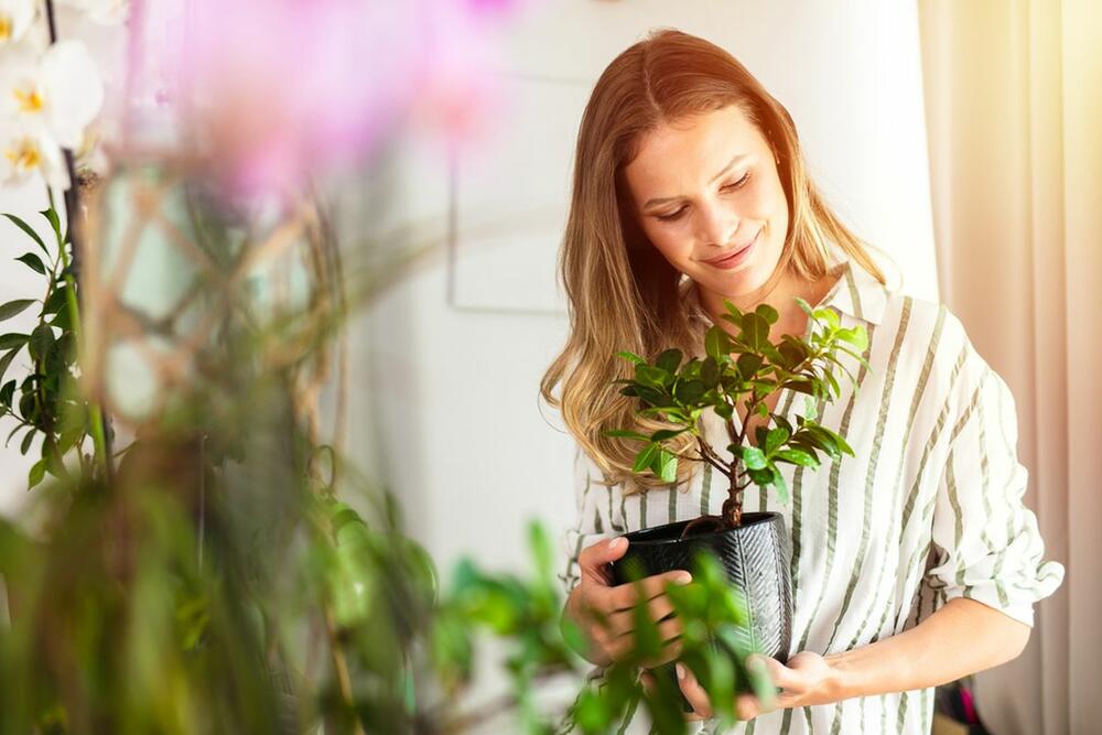 kako negovati biljke potpuno besplatno?
