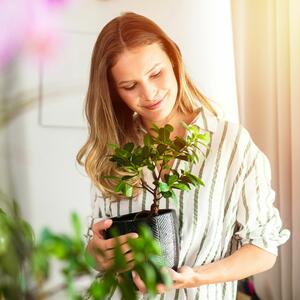 Besplatno đubrivo za sobne i baštenske biljke: 5 stvari koje bacate, a mogu da učine čuda za vaše cveće