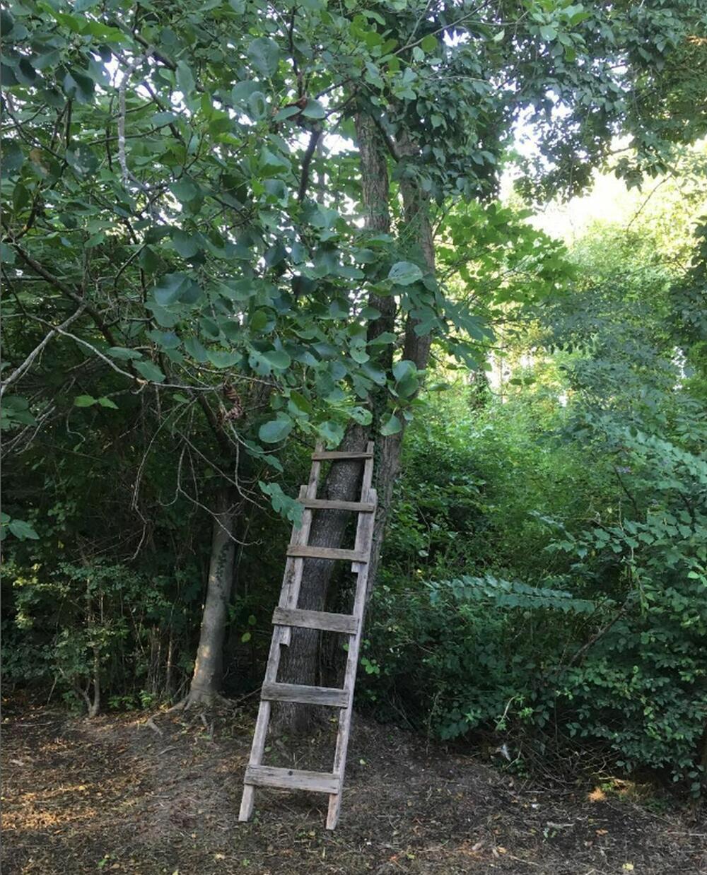 <p>Mnogi ljudi sanjaju o jednom ovakvom mestu, gde nestaju stres i briga i počinje mir i spokoj </p>