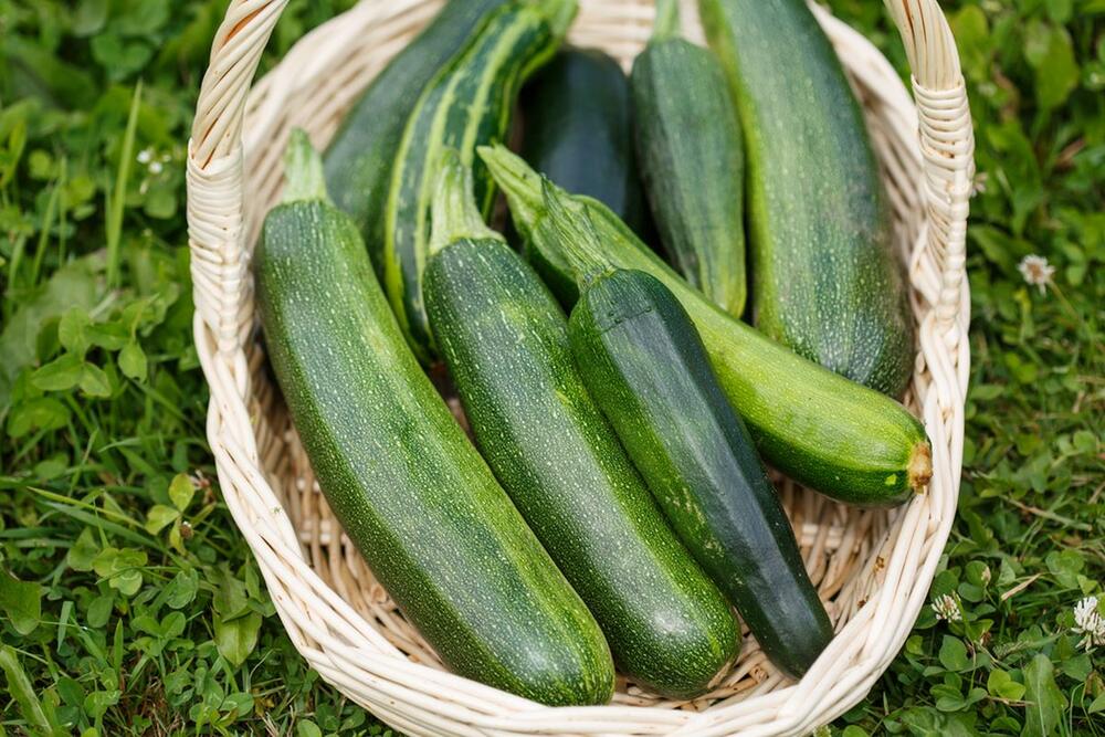 Tikvice sadrže velike količine vode