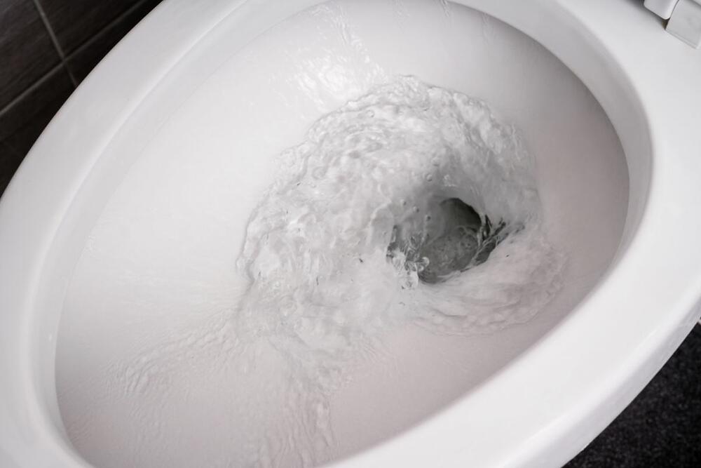 čista wc šolja je vrlo važna za dom u kom bakterije nisu dobrodošle