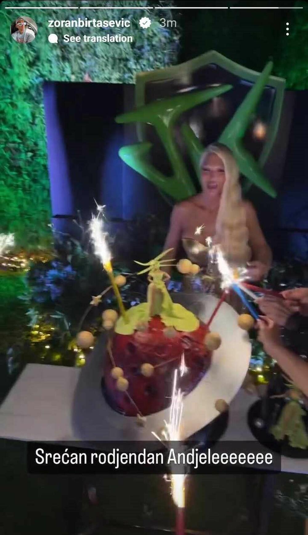 Torte na rođendanskoj žurki Jelene Karleuše