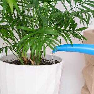 3 biljke koje mogu da rashlade dom: Ulepšaće vam životni prostor i pomoći da lakše pregurate tropske temperature