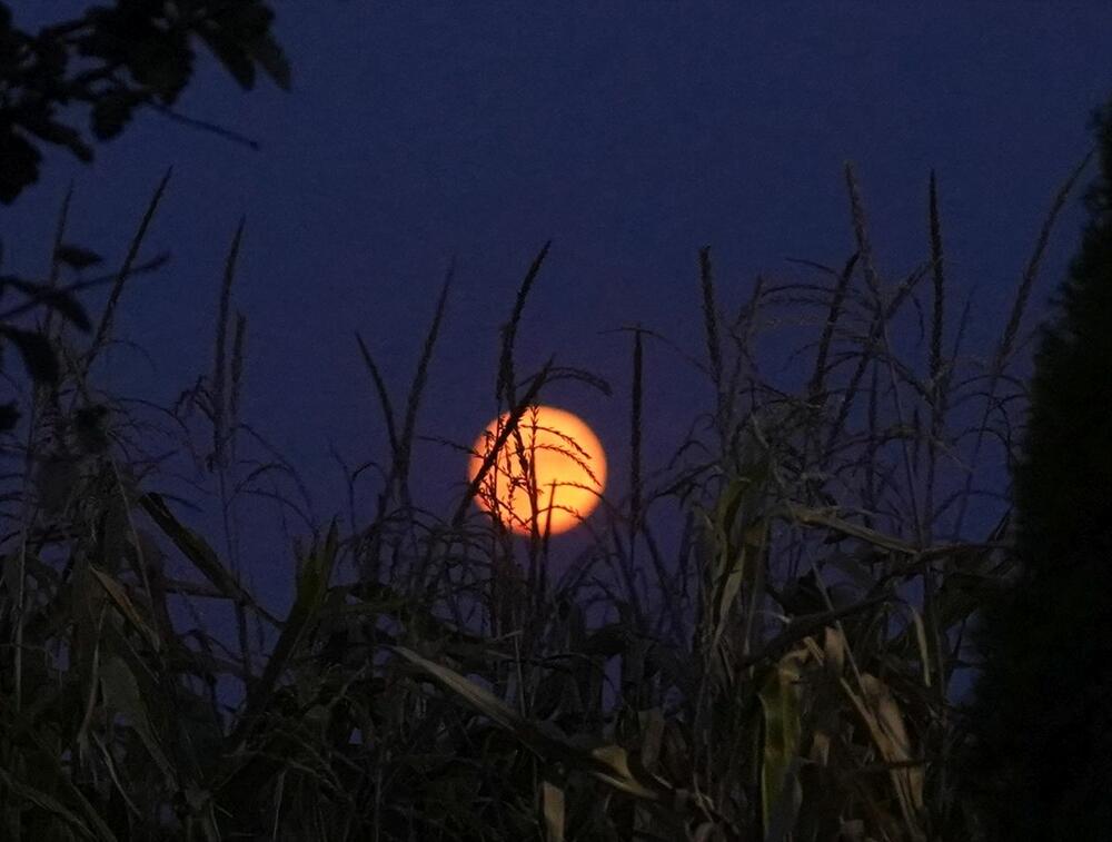 <p>Pun mesec će se pojaviti u sredu, četvrtak i petak </p>