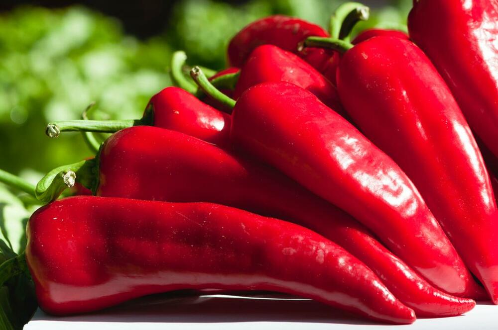 Koja paprika je najbolja za ajvar?
