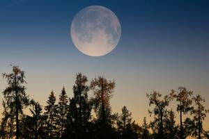 VELIKE PROMENE su pred vratima: Kako će pun Mesec koji je počeo 27. novembra uticati na svaki horoskopski znak?