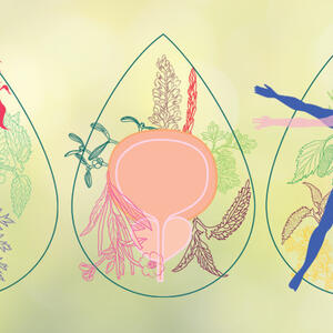 NOVI BIOTEO proizvodi: Očuvajte zdravlje i vitalnost reproduktivnih organa s 20% popusta!
