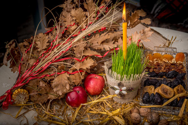 Kada i kako se sadi božićna pšenica? Dva datuma su ključna ako želite da bude bujna i zelena do Božića