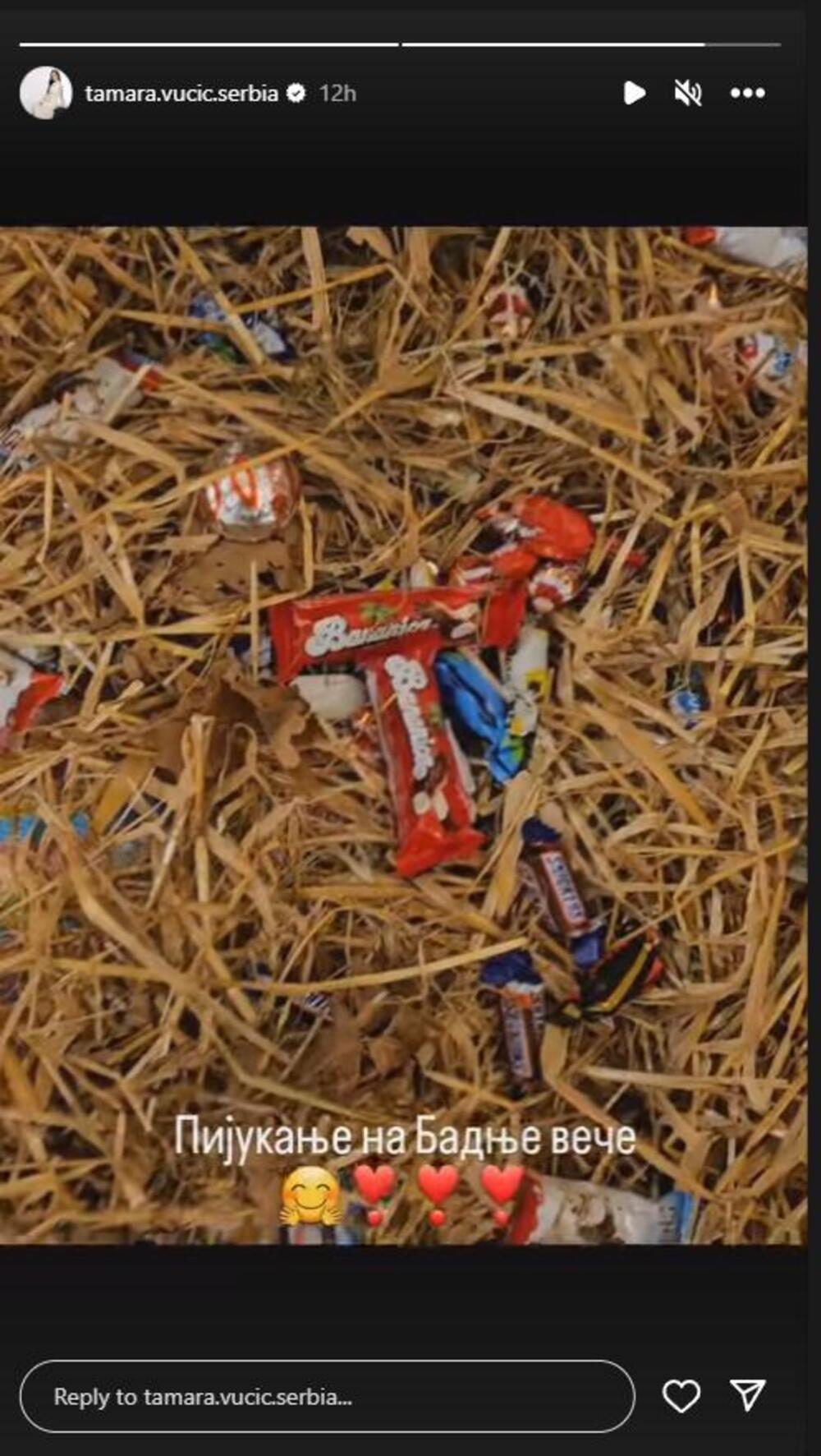 Pijukanje u domu Vučića na Badnje veče