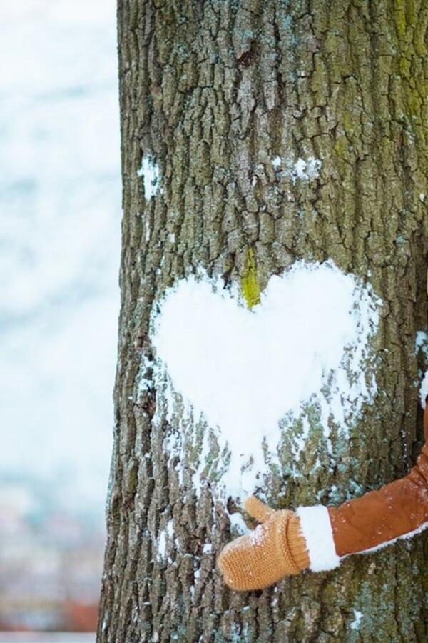 Dnevni horoskop za 5. decembar: Rakovima je vreme da se opuste i posvete svom srcu, Strelčevima loš dan za finansije