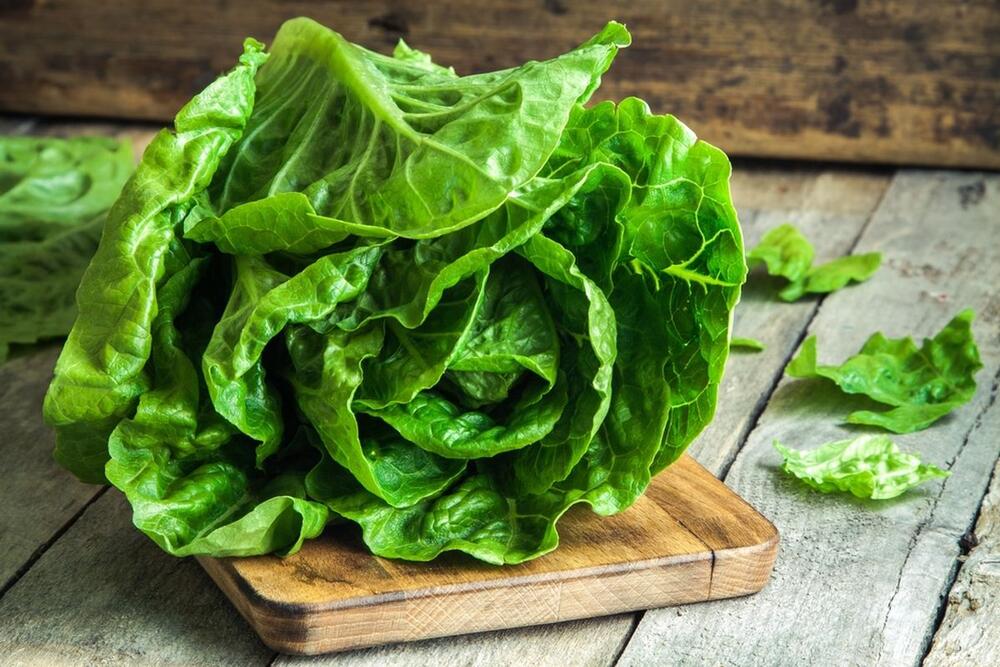 Zelena salata može da ostane sveža i hrskava duže nego što ste mislili