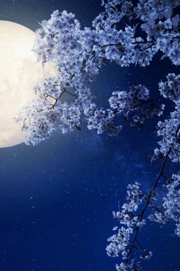 Stiže SELENA! MRAK će zameniti SVETLO! Šta BELI MESEC donosi od 13. marta do 12. oktobra & kome je natal u njemu?