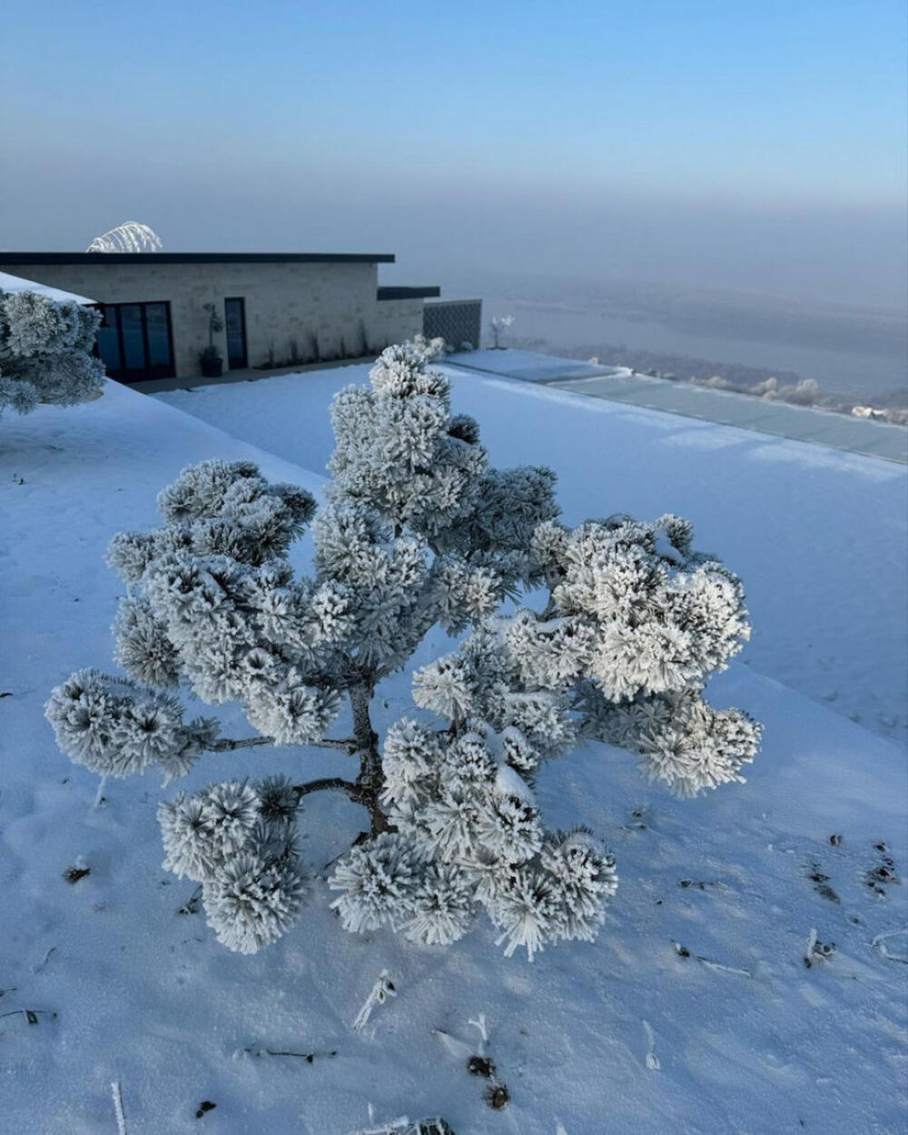 <p>Kafa sa pogledom na Dunav i netaknuta priroda su sve za čim je voditeljka oduvek žudela </p>