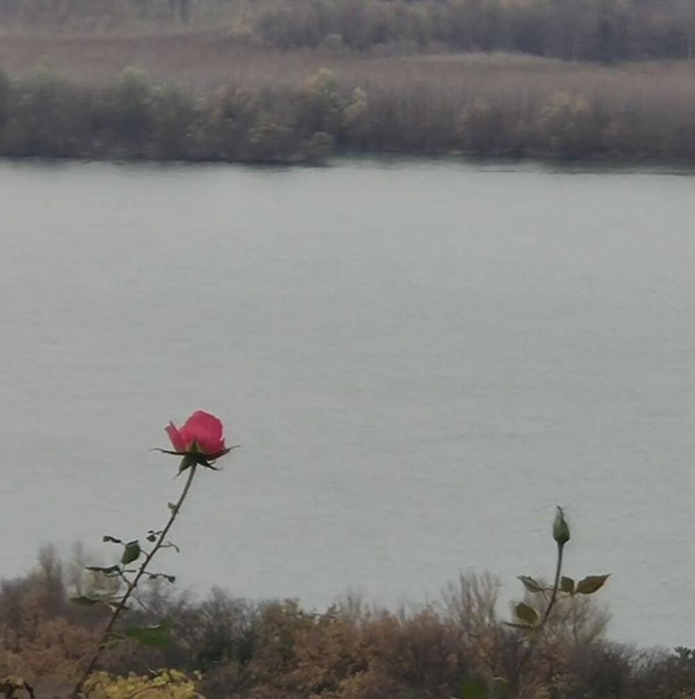 Vikendica Vojina Ćetkovića i Slobode Mićalović