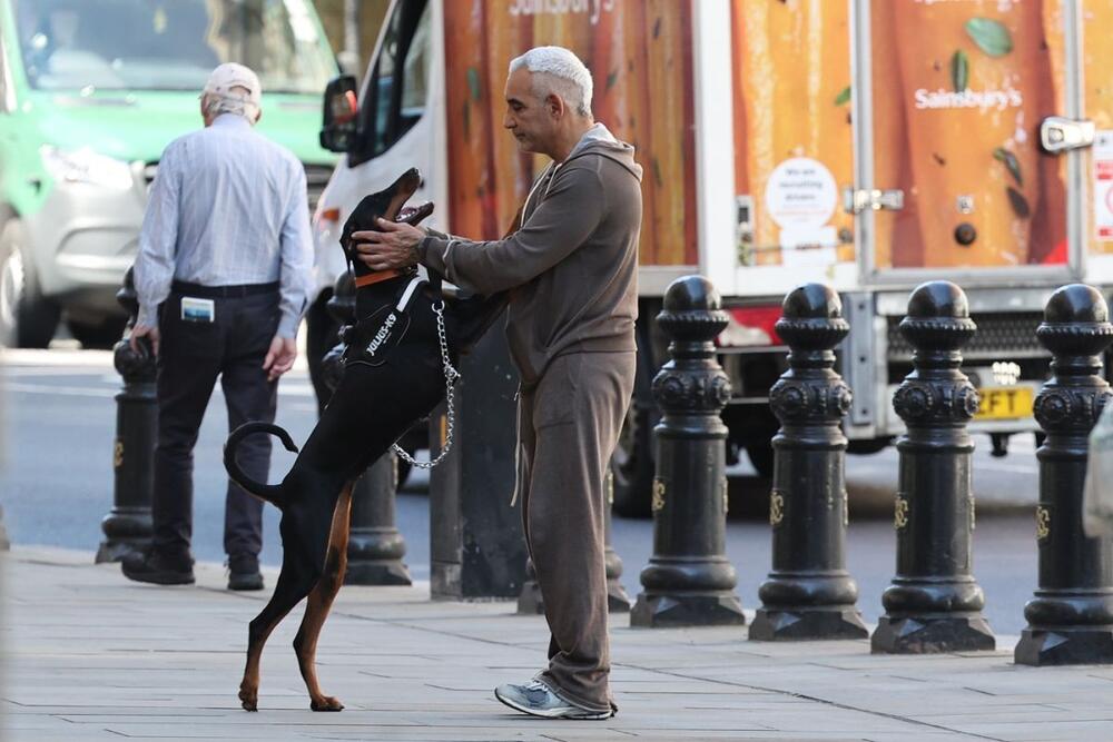 Iako izgledaju opako, dobermani su dobre duše