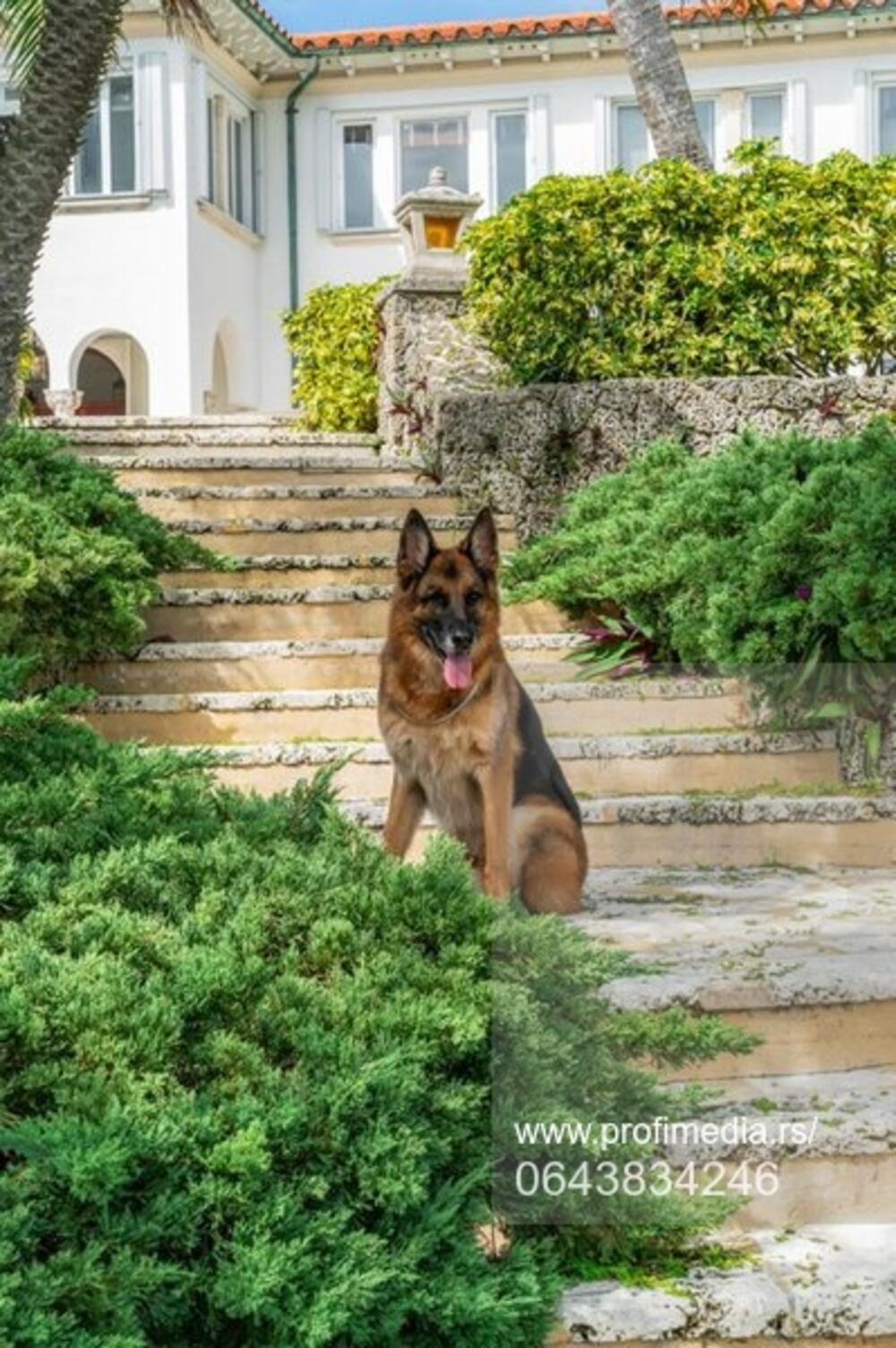 <p>Bogatstvo koje je nasledio omogućilo mu je da živi "kao bubreg u loju"</p>